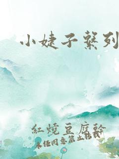 小婕子系列小说