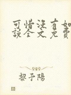 可惜没有如果小说全文免费阅读