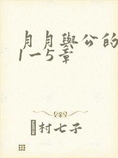 月月与公的激情1一5章