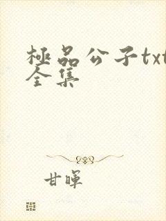 极品公子txt全集