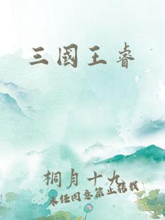 三国王睿