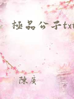 极品公子txt