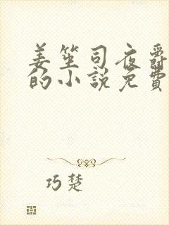 姜笙司夜爵顾念的小说免费阅读