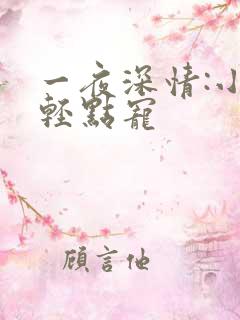 一夜深情:小叔轻点宠