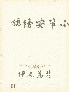 锦绣安宁小说