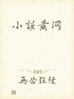 小说黄网