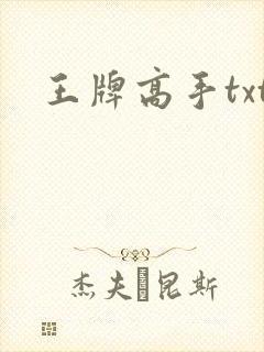 王牌高手txt