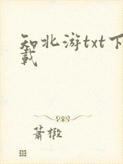 知北游txt下载