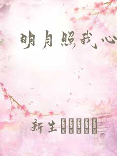 明月照我心小说