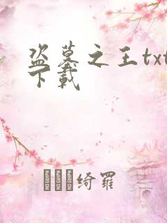 盗墓之王txt下载