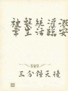 被系统灌溉的日常生活临安