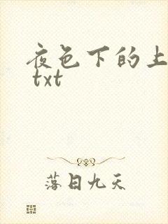 夜色下的上海滩 txt