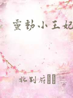 灵动小王妃