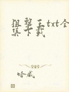 狙击王txt全集下载