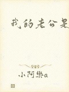 我的老公是魔王