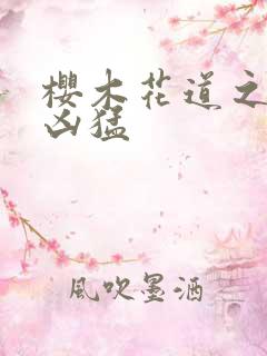 樱木花道之重生凶猛