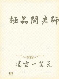 极品开光师阅读