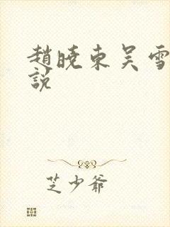 赵晓东吴雪晴小说