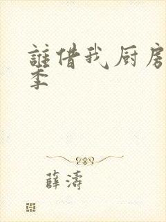 谁借我厨房第三季