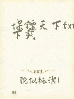 保镖天下txt下载