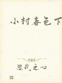小村春色下载