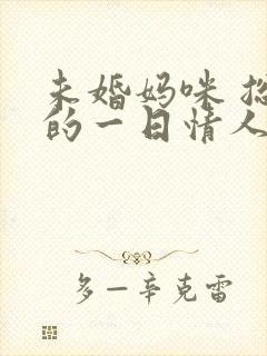 未婚妈咪 总裁的一日情人