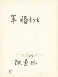 军婚txt