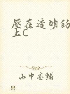 压在透明的玻璃上C