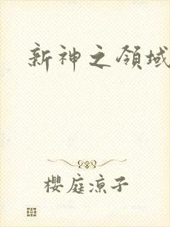新神之领域