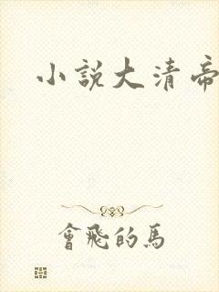 小说大清帝国
