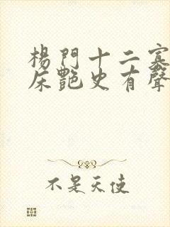 杨门十二寡妇肉床艳史有声小说