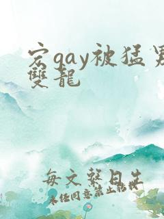 宏gay被猛男双龙