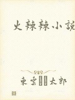 火辣辣小说全集