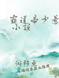 霸道帝少惹不得 小说