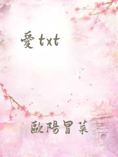 爱txt