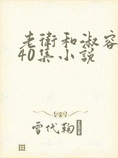 老卫和淑容1-40集小说