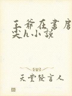 王爷在书房含乳尖h小说