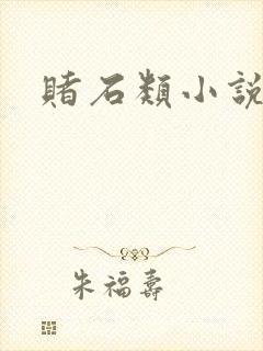 赌石类小说