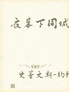 夜幕下同城网