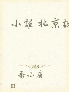 小说 北京故事