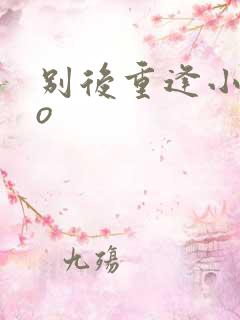 别后重逢小说po