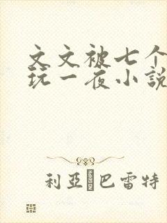 文文被七个男人玩一夜小说
