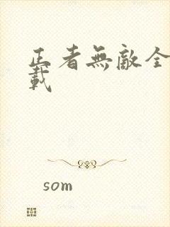 正者无敌全集下载