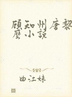 顾知州唐黎叫什么小说