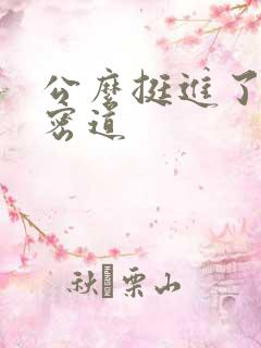 公么挺进了我的密道
