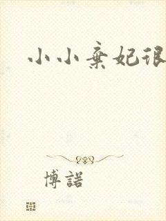 小小弃妃很倾城