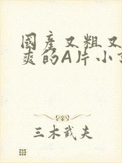 国产又粗又黄又爽的A片小说