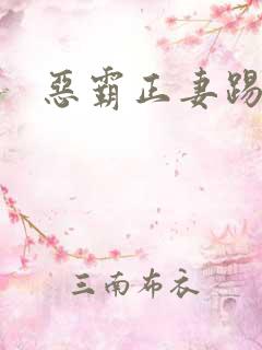 恶霸正妻踢娇妾