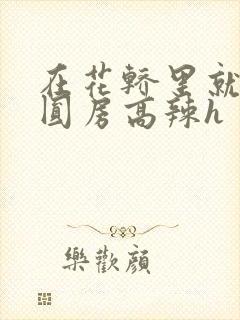 在花轿里就开始圆房高辣h