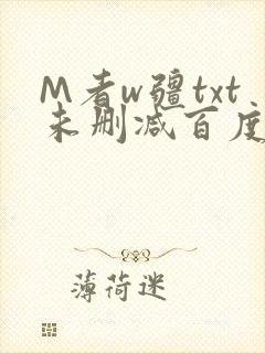 M者w疆txt未删减百度云